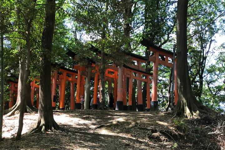 10 Best Self-Guided Tours in Japan 2025/2026 - TourRadar