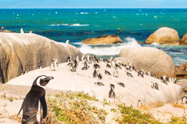 15-Day Southern Africa Signature Experience