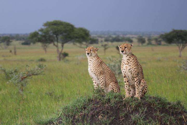 11 Days - Tanzania Safari, Victoria Falls and Okavango Delta