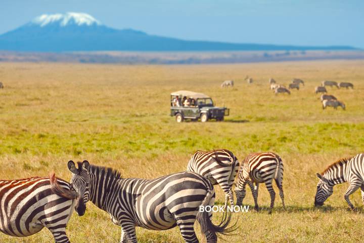 3 Days Best of Amboseli National Park Group Joining Safari-Kenya