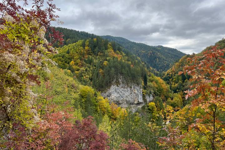 Itinerary Image 1