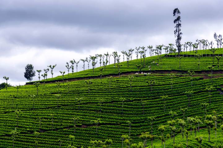 Itinerary Image 3
