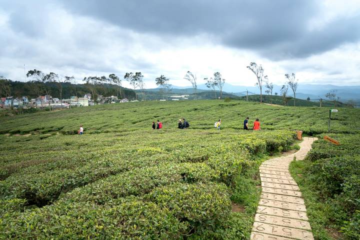 Itinerary Image 1