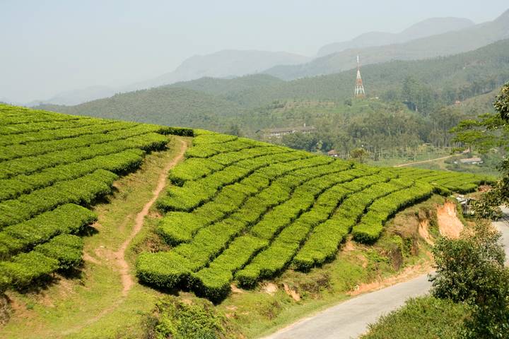 Itinerary Image 2