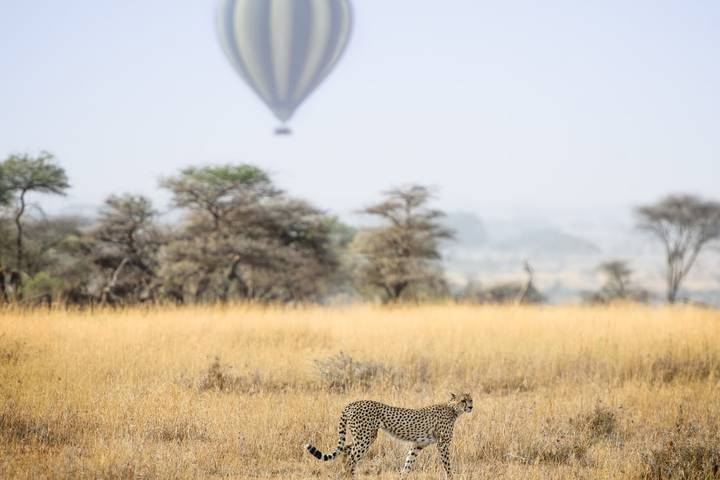 Itinerary Image 3