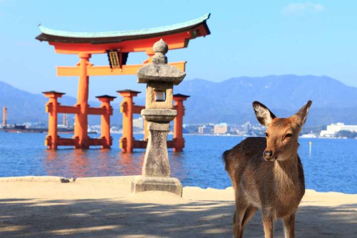 Itinerary Image 3