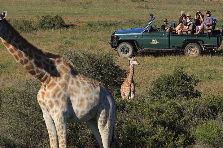 Itinerary Image 1