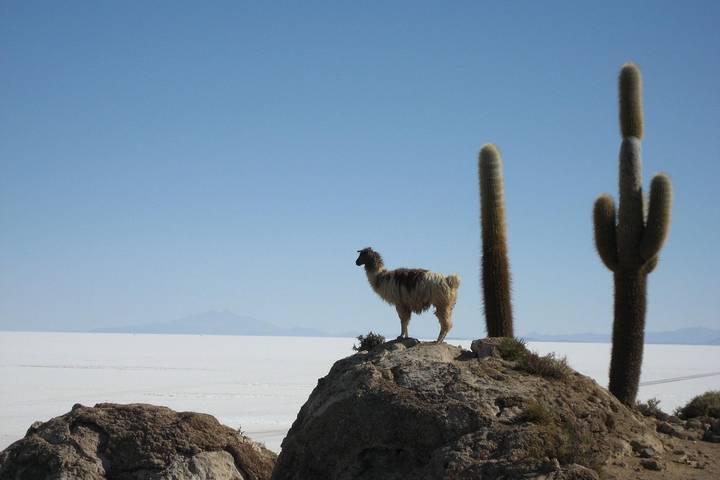 Itinerary Image 5