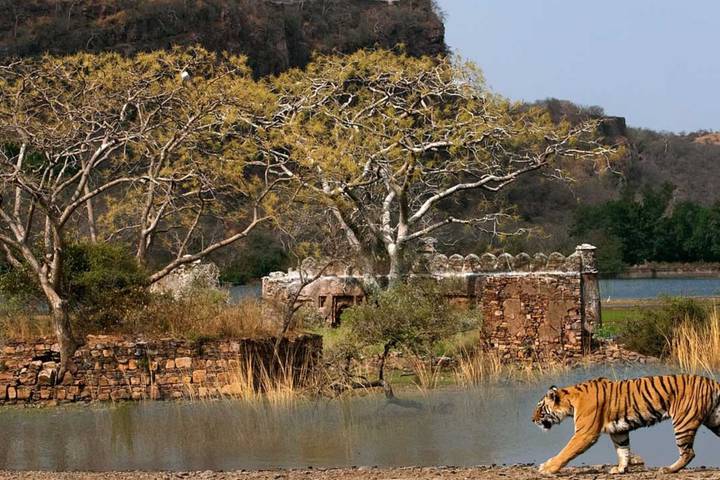 Itinerary Image 2
