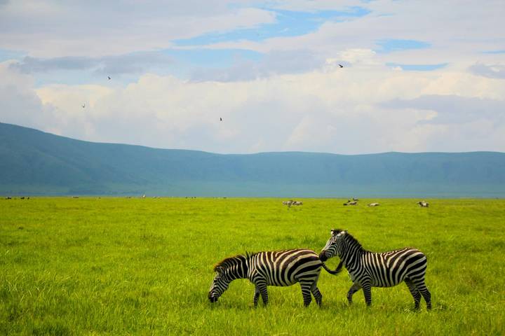 Itinerary Image 2