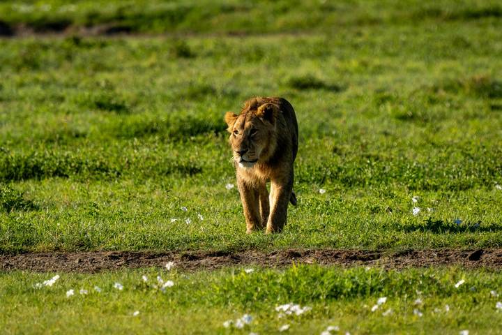 Itinerary Image 1
