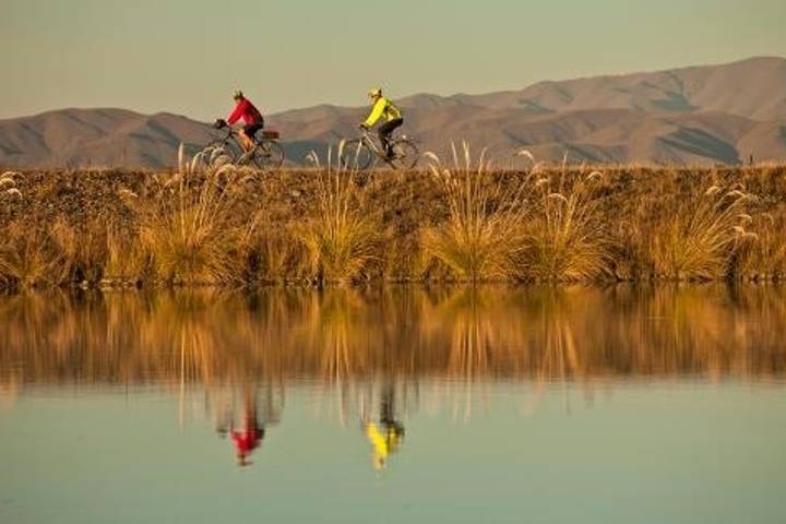 10 Best Cycling Bike Tours in New Zealand 2025/2026 TourRadar