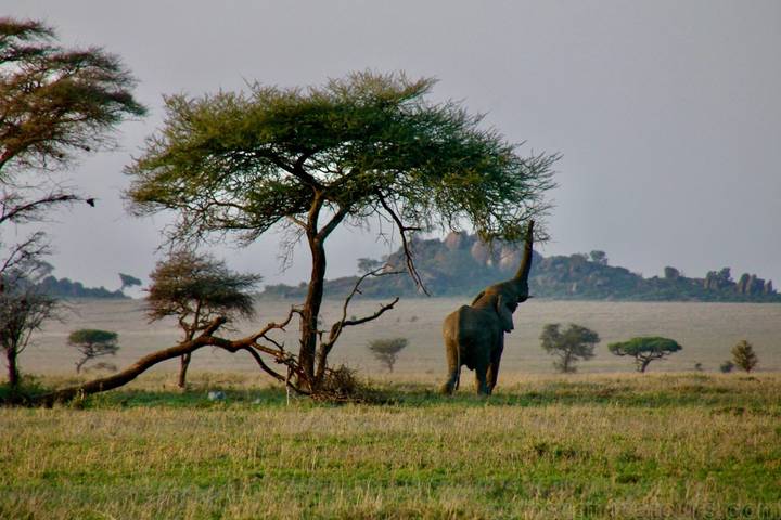 Itinerary Image 3
