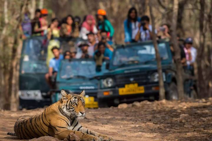 Itinerary Image 1