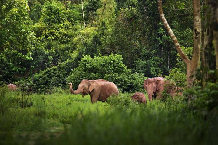 Itinerary Image 3