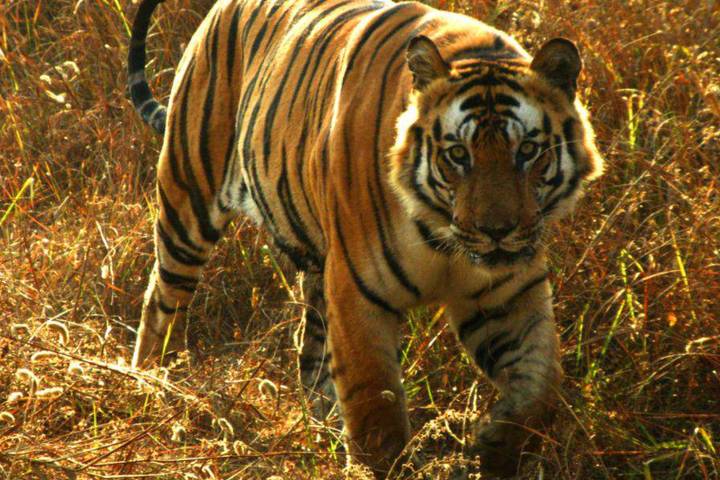 Itinerary Image 2