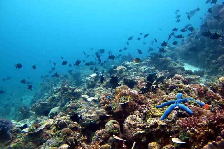 Itinerary Image 3
