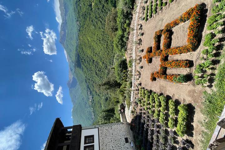 Itinerary Image 2