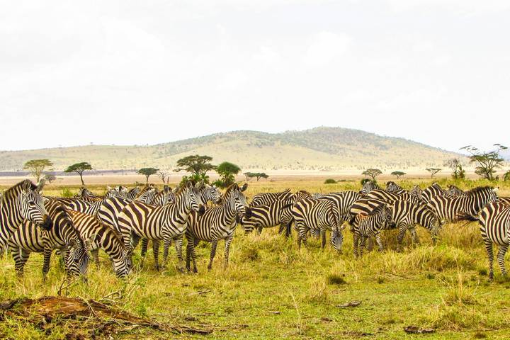 Itinerary Image 2