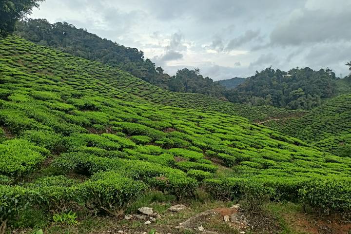 Itinerary Image 2
