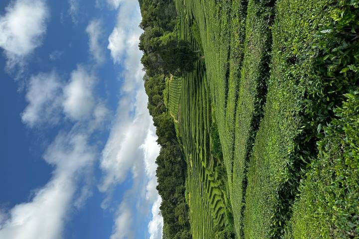 Itinerary Image 2