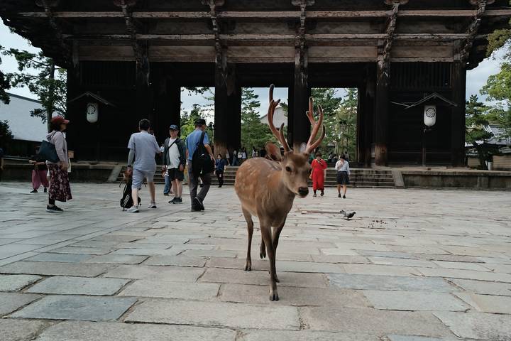 Itinerary Image 2