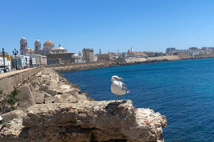 Itinerary Image 1