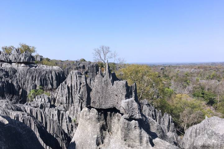 Itinerary Image 2