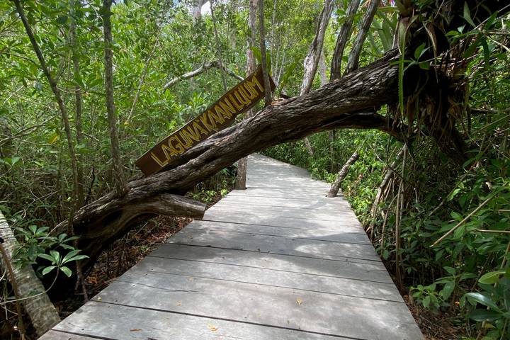 Itinerary Image 8