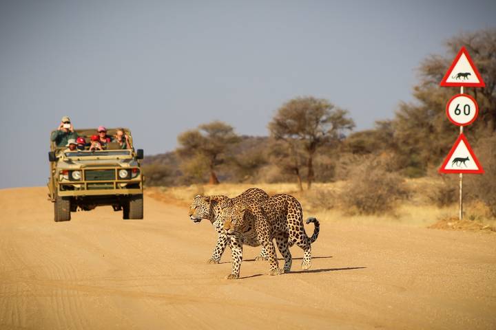 Itinerary Image 2