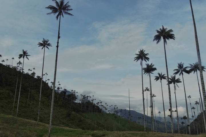 Itinerary Image 1