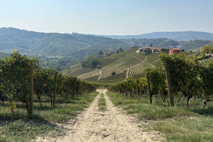 Itinerary Image 2