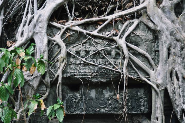 Itinerary Image 3