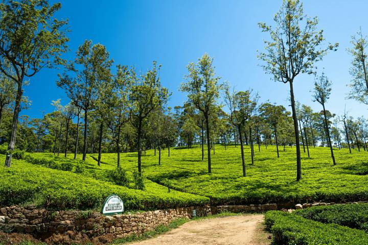 Itinerary Image 3