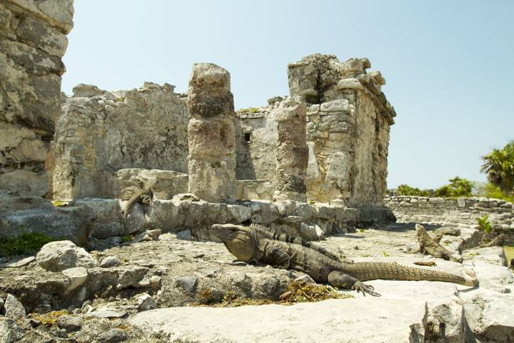Itinerary Image 1