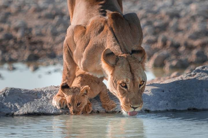 Itinerary Image 2