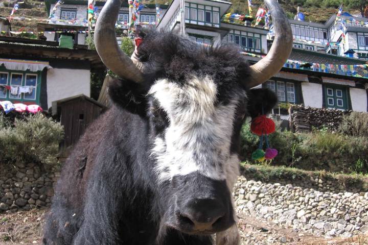 Itinerary Image 2