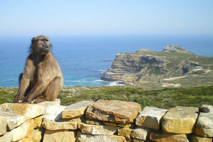 Itinerary Image 3