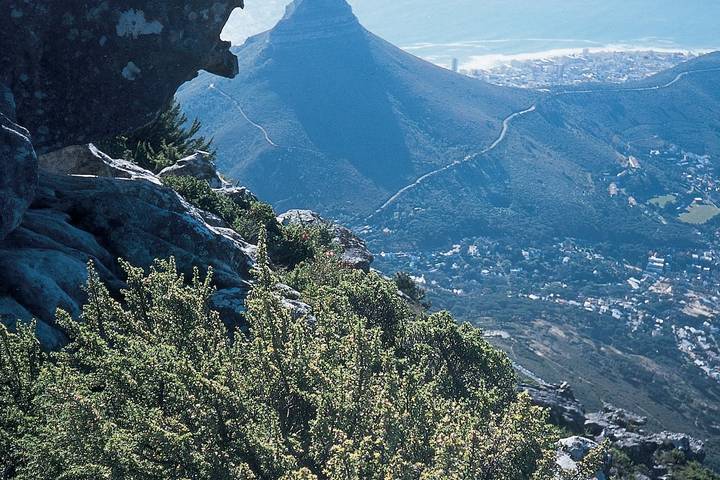 Itinerary Image 2