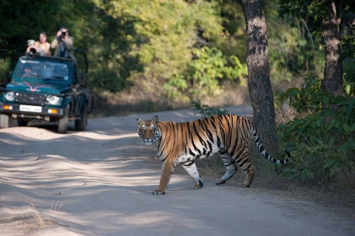 Itinerary Image 1