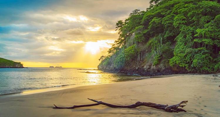 Una hermosa playa al atardecer con exuberante vegetación en Costa Rica.