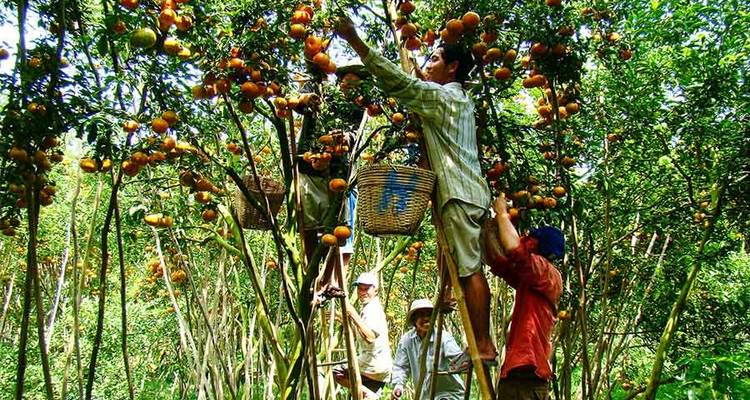 Lo mejor de Vietnam - 10 días de Ciudad Ho Chi Minh a Hanoi - Vietnam Adventure Tours 9