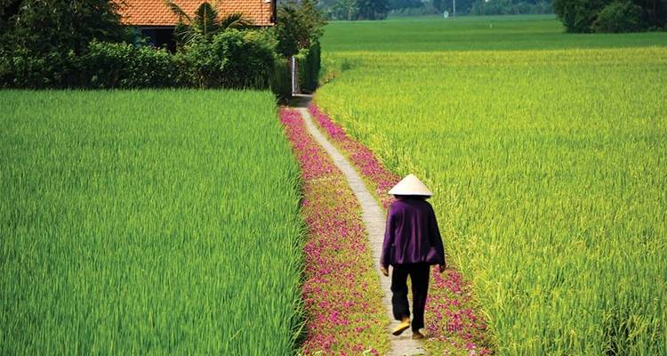 Lo mejor de Vietnam - 10 días de Ciudad Ho Chi Minh a Hanoi - Vietnam Adventure Tours 8
