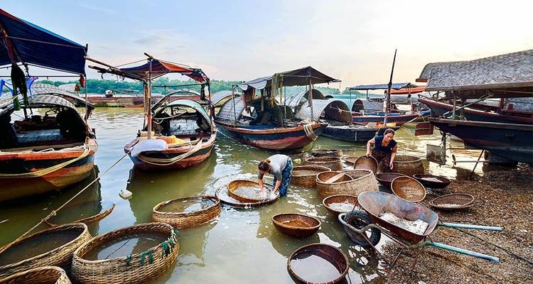 10-Day Vietnam Tour from Ho Chi Minh City to Hanoi - Vietnam Adventure Tours 7