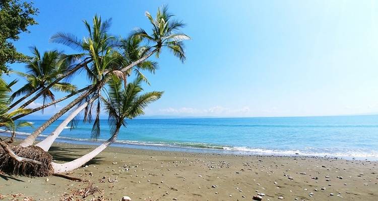 Aventura en Costa Rica - Costsaver 8