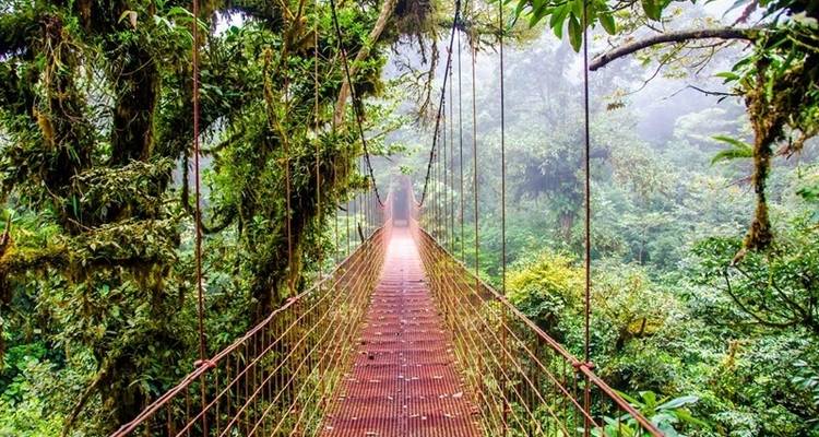 Costa Rica Adventure (Tortuguero Extension) - Costsaver 3
