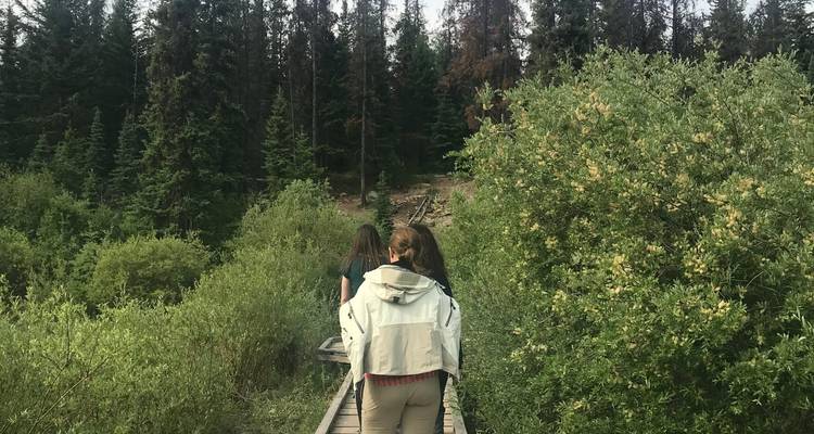 Circuit de 7 jours dans les parcs nationaux des Rocheuses canadiennes en petit groupe - Bindlestiff Tours 9