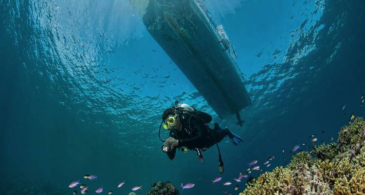 Turtle Conservation Papua New Guinea - No Limit Adventures 2