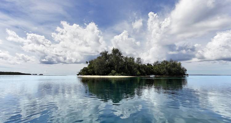 Turtle Conservation Papua New Guinea - No Limit Adventures 3