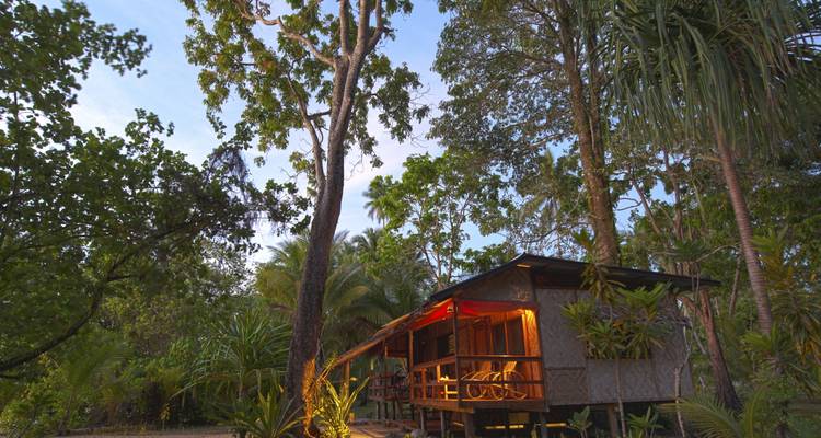 Turtle Conservation Papua New Guinea - No Limit Adventures 8